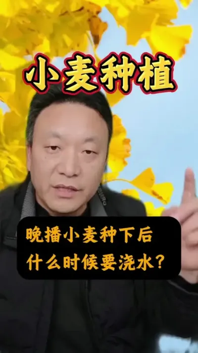 СºʲôʱԽˮ#Сݪֲ #Сˮ