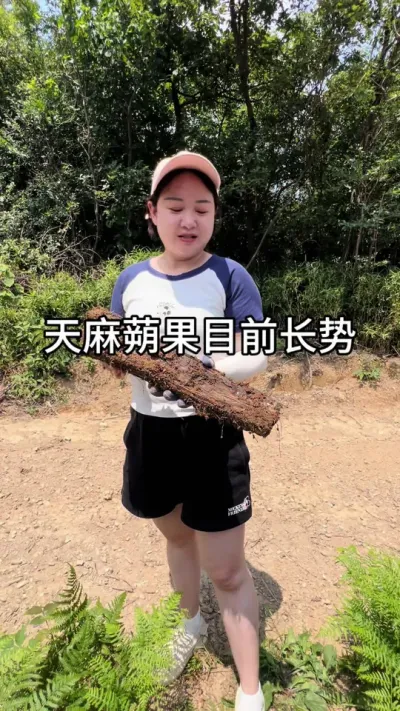 ڳ #ũ #ũݪֲ #ݪֲ #@С