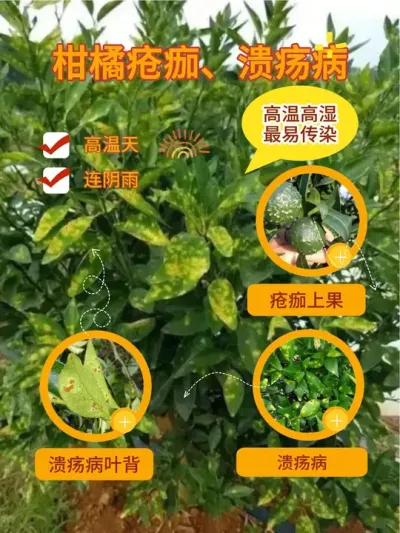 ɷ#ݪֲ # #ٹ #ũ #ũ֧ũ