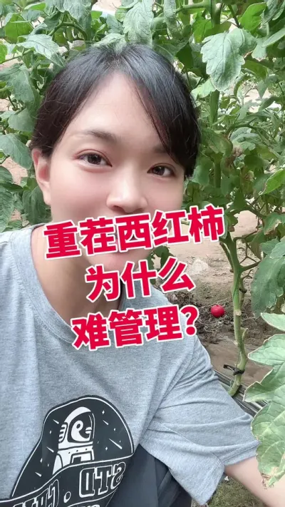 ز# Ϊʲôѹ ##¶#ݪֲ #em  ЧǺ @С