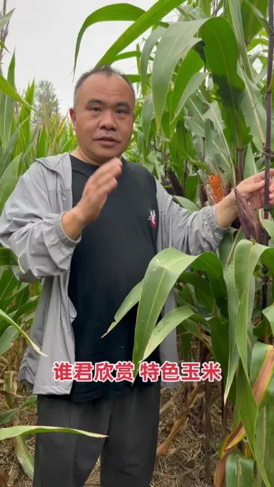 ԰вȱôЧ棡