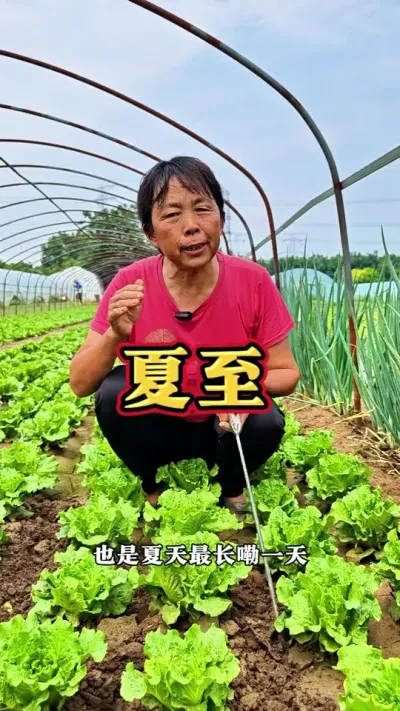 ��ʮ�Ľ���֮�����������º�������Щ�߲�#��ũ #���� #��ʮ�Ľ��� #�߲����� #ݪֲС���� @DOU+������ @��������С���� @DOU+С����