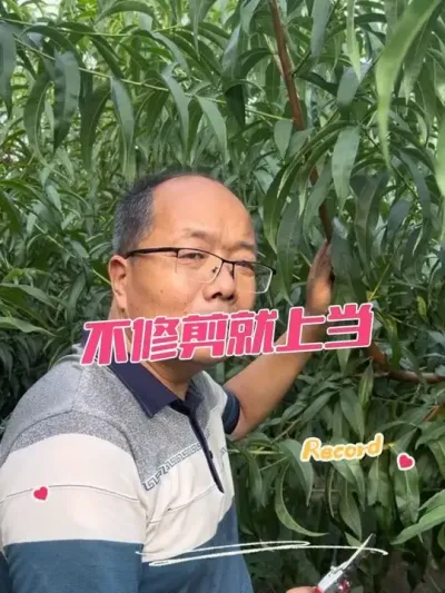 ＾޼ƭʲôʱΪɶ׵#޼ #޼