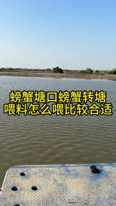 ззתιôιã #ֳģʽ #ũ #ˮֳ #ũ2025