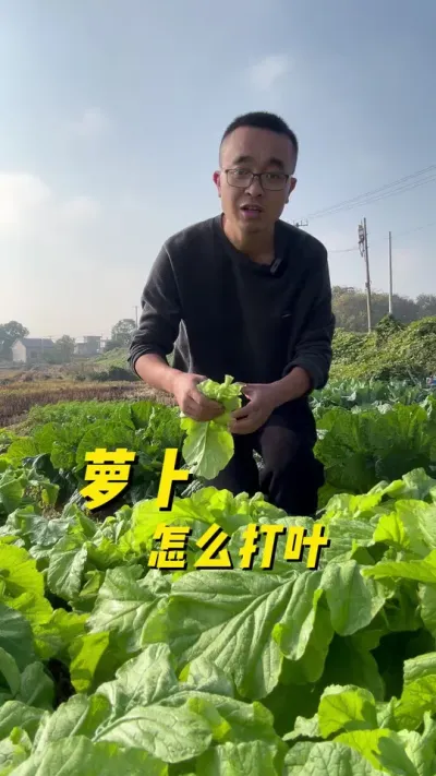 ܲôҶ#ֲС #ͥݪֲ #ֲ #ֲ̨ #עһѧֲ