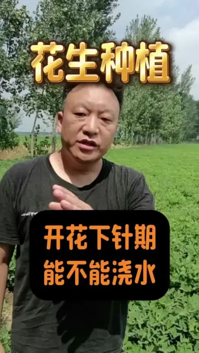 Żܲɽˮ#ݪֲ #ˮ #Ż