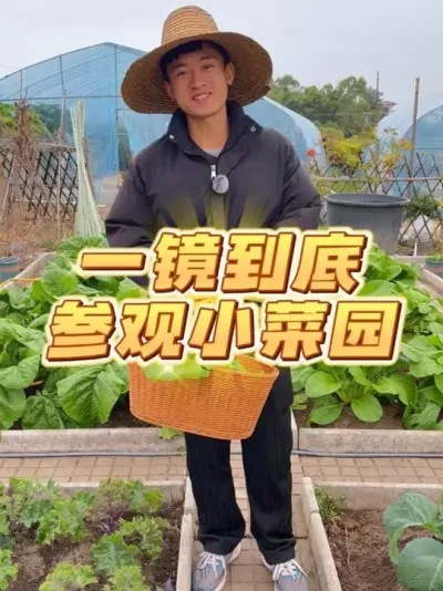 ҵС԰~ #ݪֲС #ֲ #עһѧֲ #ԼֵĴȻɫ߲ #ҵС԰