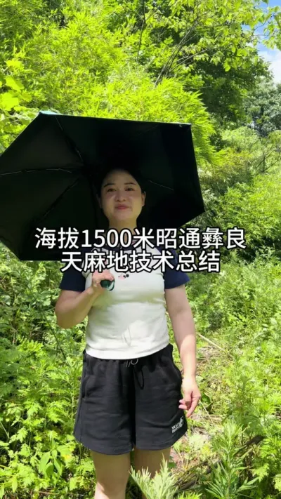 ����1500����ͨ����������������ܽ� #����ݪֲ #���շ���#����ݪֲ@����С����