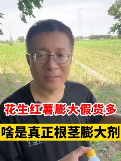 Ʒɶ¸ #ݪֲ #߲ # # #ݪֲ