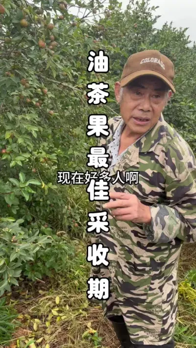 ƿСѿΪ׼ʱݪֲӦƾ֤Դ#Ͳݪֲ #Ͳ #Ͳݪֲ #ѧũ #ͷʵٸɻ