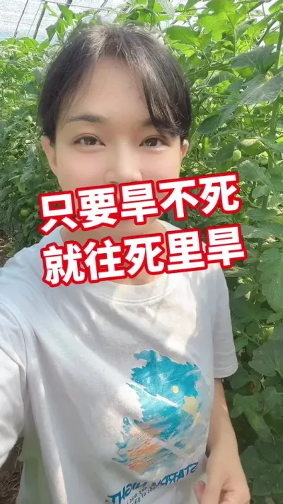 #������ݪֲ#����ݪֲ#¶��������#���������� �����ע �໥ѧϰ��@����С����