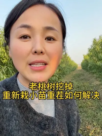 ز ز#ũҵ֪ʶũ #ݪֲ