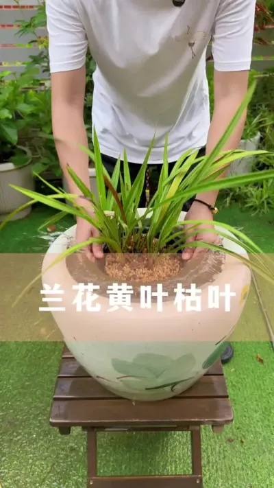 ҶҶҪô# #ֲ #С֪ʶ