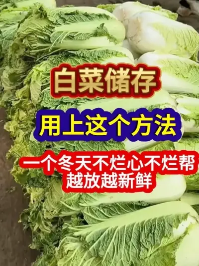 ײҪһ첻ԽԽ #ײ #ײҪ #ײһ춼ỵ #ũҵݪֲ #ũҵ֪ʶũ