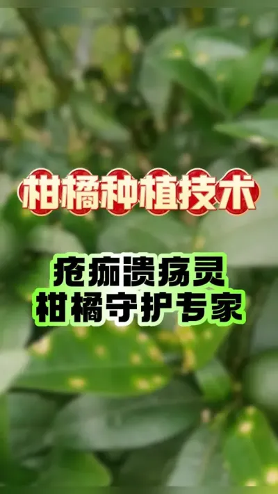 12 Сʱ�����������·��������� &mdash;&mdash; �����������������ػ�ר�� #����ݪֲ #���ٹ��� #���ٲ��� #�������� #������������