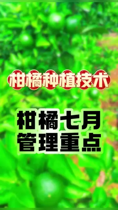 #dou ¹ص #ݪֲ #ٹ #ũ #