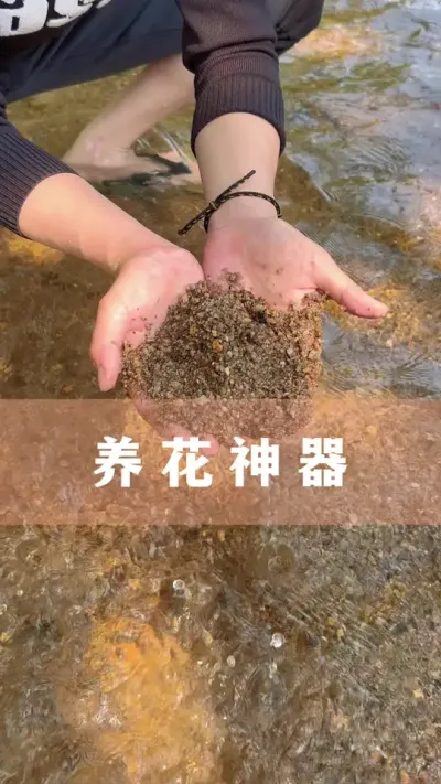 Ƿȥ̵#ֲ #С֪ʶ #İ