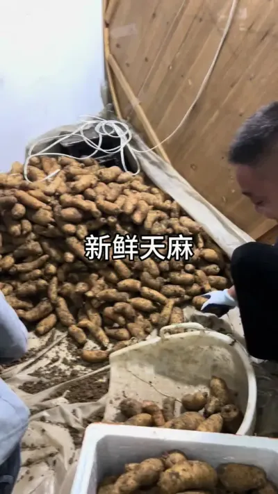 װּ #ݪֲ #ݪֲ#ũƷ @С