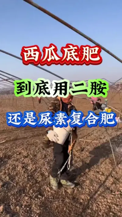 ݪֲ ϵ׷ʾö狀վظϷʺ#ݪֲ#Ϲ #ϸ߲#ϵ׷