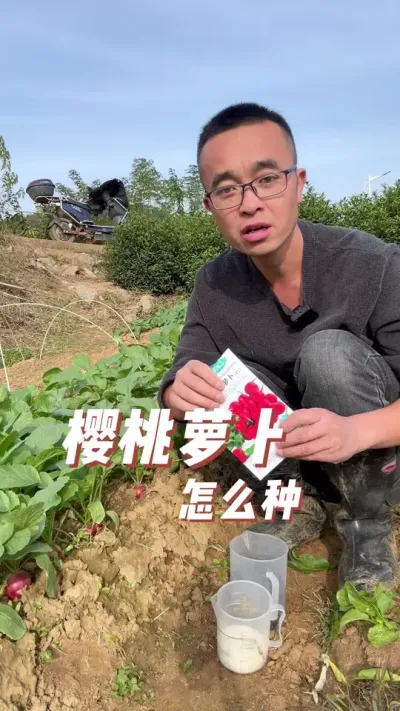 ӣܲô#ֲС #ֲ #ѧֲ #עһѧֲ #ͥݪֲ