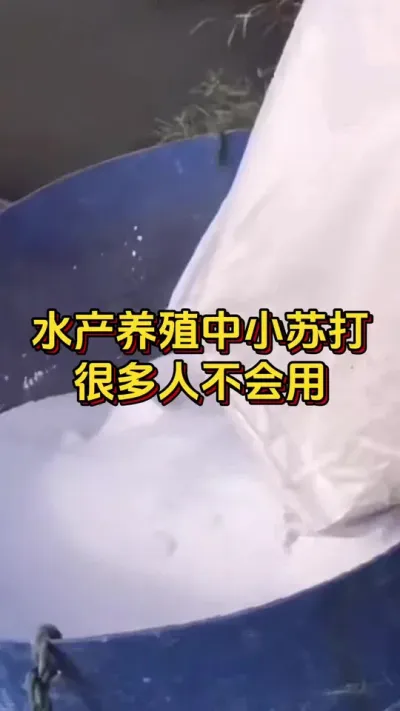 #ĶϺ#׶Ϻֳ#οˮ#ˮֳ