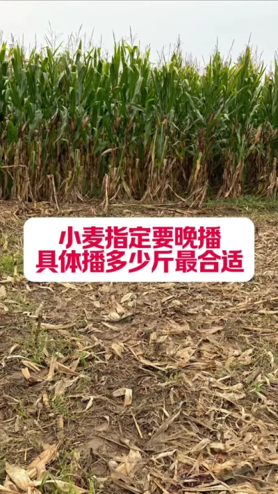 Сʣ #߰ #ũҵݪֲ #ũ֧ũ #ݪֲС #ũҵƹ