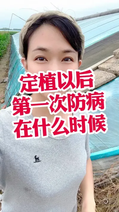 #ݪֲ#ֲ#ݪֲ#ݪֲС#  СƳµ@С