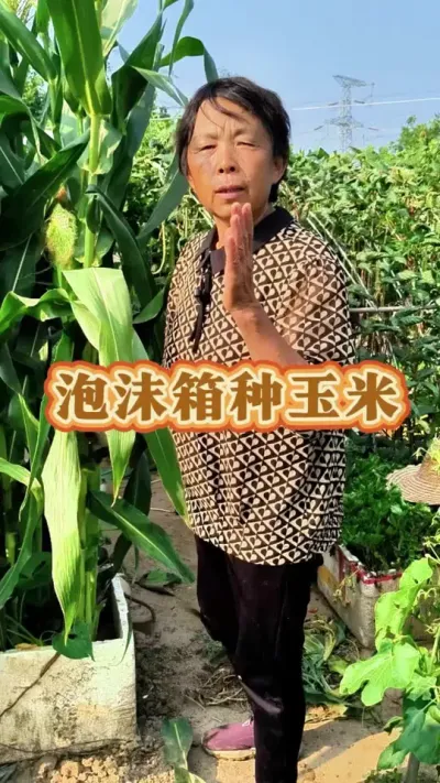 ĭ#ũ # #߲ #ݪֲС#עһѧֲ @С @DOU+С @DOU+