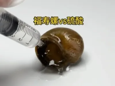 vs ǿνлᱬʲô£###ʵ