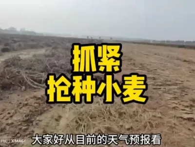 #ũҵݪֲ #ũҵ˻ũҵ