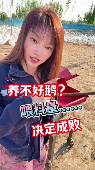 养鹅不同阶段的喂料量，必须学会#养鹅人 #养鹅技术