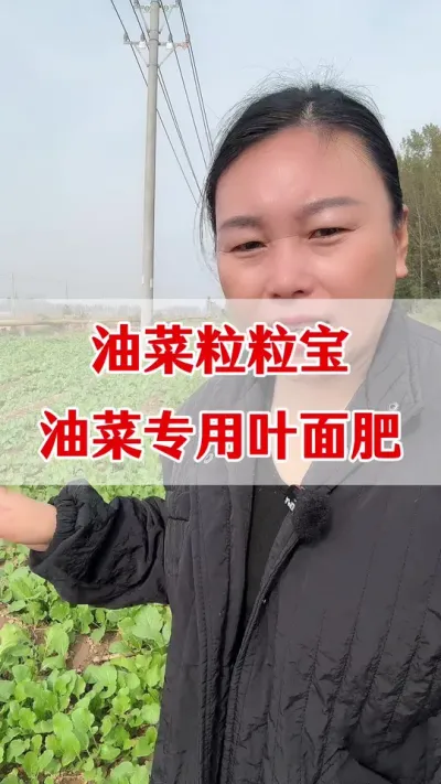 ͲרҶ#ҳͬ #Ͳ #Ͳݪֲ#ͲרҶ