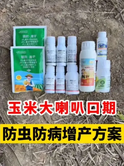 1013ҶȿȺƻ #ݪֲ #ݪֲ #׸߲ݪֲ #׹ #ݪֲ