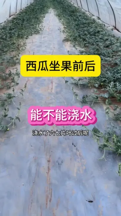 #ũҵݪֲ #ũҵֲ֪ʶ