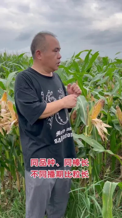 ͬƷ֡ͬܶȡͬͶ󣡲ءǧʵã