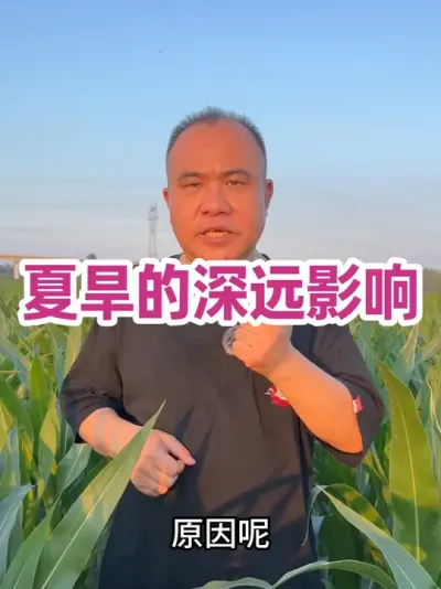 ĺԶӰ һ޼֮ƵĺĵûҲСӰ쵱СҲԶӰ죡׼б޻#ũҵݪֲ