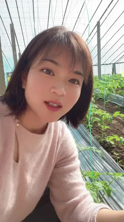 ##Ƕ#ݪֲ#¼ҵݪֲ# Ҫ͵СƳ @С