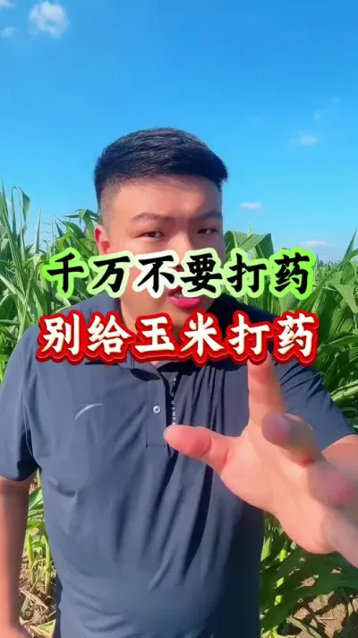 Ҫҩ״ҩ #ݪֲ #һ #ݪֲС