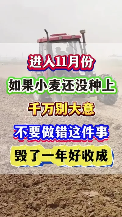 11·СûϵҪ£ #Сݪֲ #С߲ #Сݪֲ #ũҵݪֲ  #