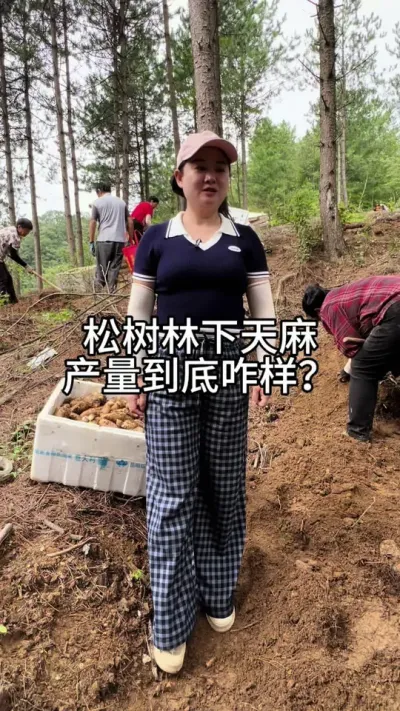 Ƿ #ũݪֲ #ũ #ݪֲ @С