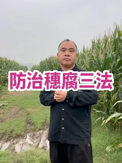 븯 ռһ븯     һʵƷֻѧأ#ũݪֲ