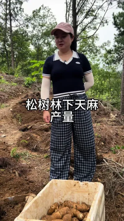 Ĳ #ũݪֲ #ũ #ݪֲ @С