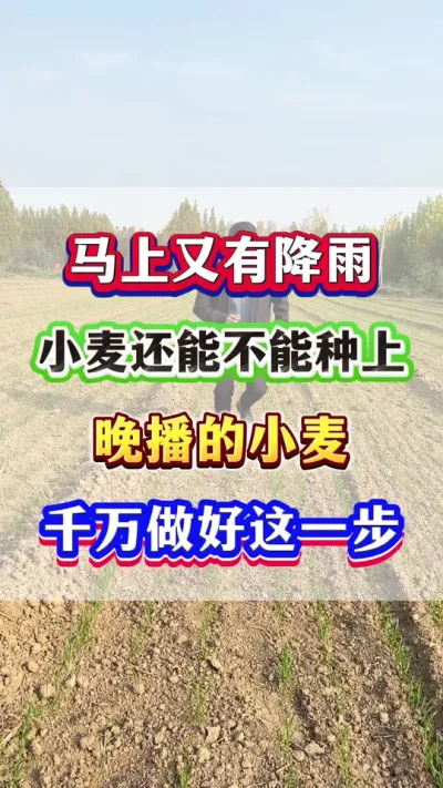 нСܲ #Сݪֲ #С߲ #Сݪֲ #С #ũҵݪֲ