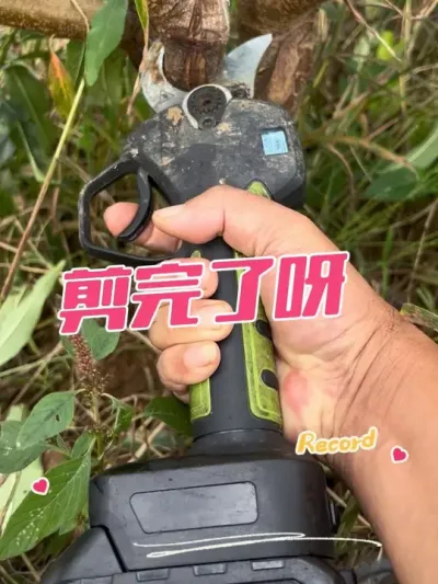 ֱӶ ޼ǲǶ޼#޼