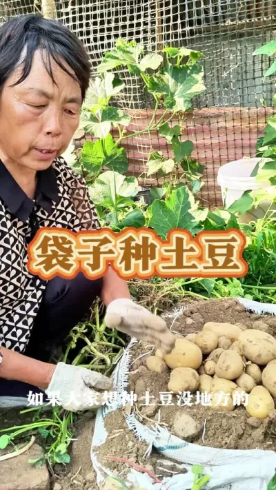 #ũ # #ݪֲСС #߲ #ݪֲ @С @DOU+С @DOU+