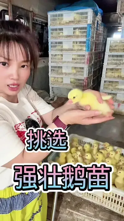 ѡҲм# #ũ崴ҵֳ #շ