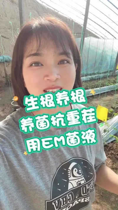 #EMҺ#;#ݪֲ## Ҫ٭СƳ ʱѯ@С