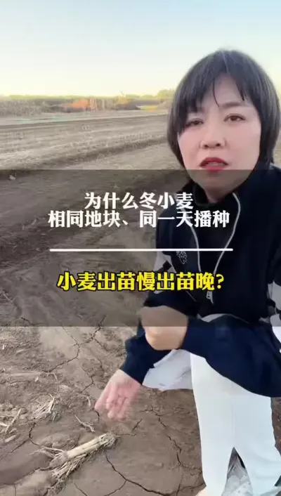 СԵԭɺ͵ⲽ#ũ #ũҵݪֲ #ũ