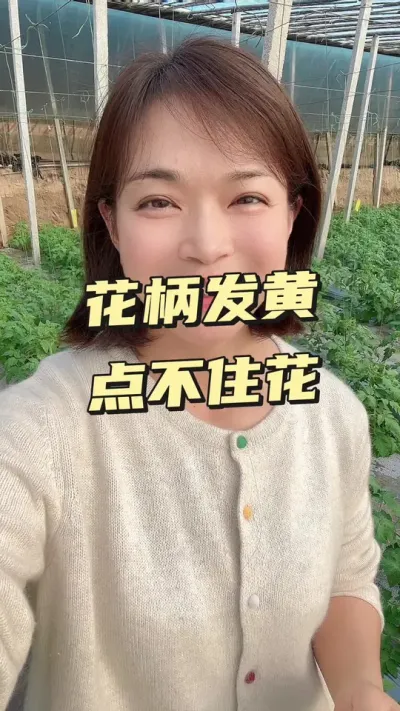 #ݪֲ##󋠶#.#¼ҵݪֲ Ҫ͵СƳ@С