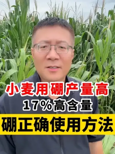 С׼ȷʹҪ÷ #Сݪֲ # #С߲ #С # @̷ũʣ